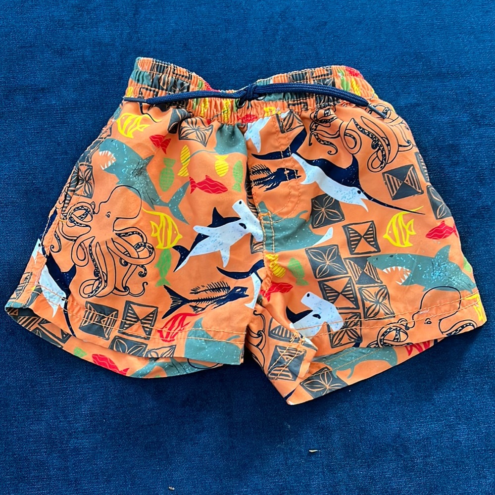 Boys Swim Trunks
